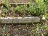 image of grave number 790642